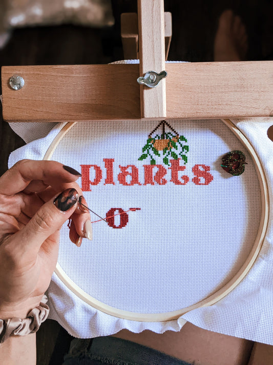 Beginner's Guide to Cross Stitch